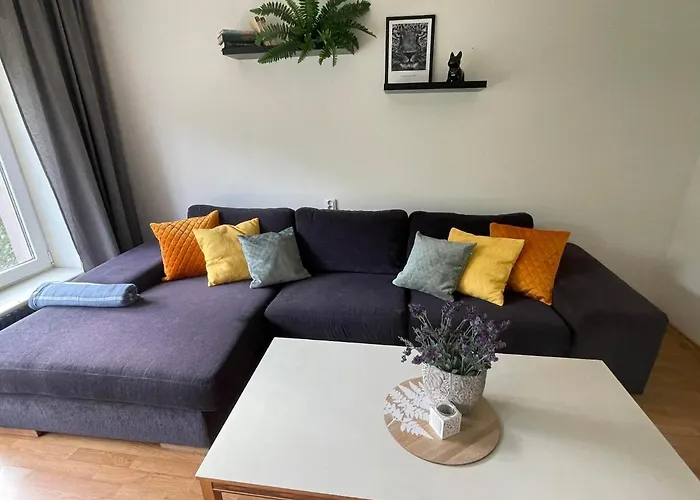 Merelaehedane Peremaja Paernus 페르누